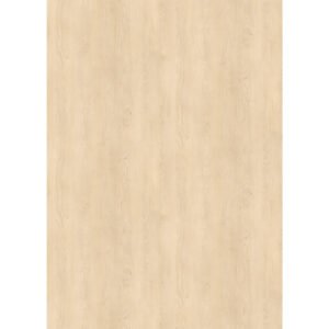 H1732-ST9