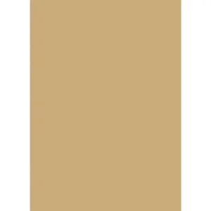 Μελαμίνη Egger F571 ST2 Gold Metallic